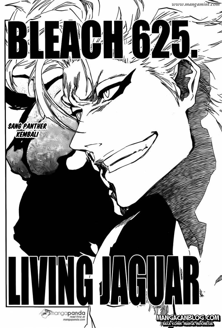 Bleach chapter 625, halaman 2